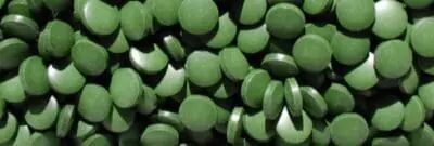 Biokin Chlorella Vulgaris – Bild 2