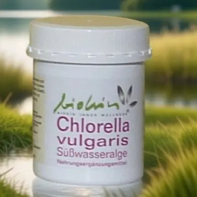 Chlorella vulgaris