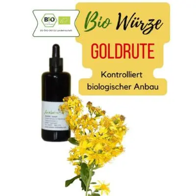 Goldrute Bio Würze