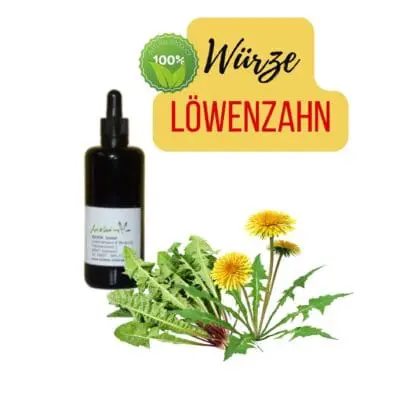 Löwenzahn Würze